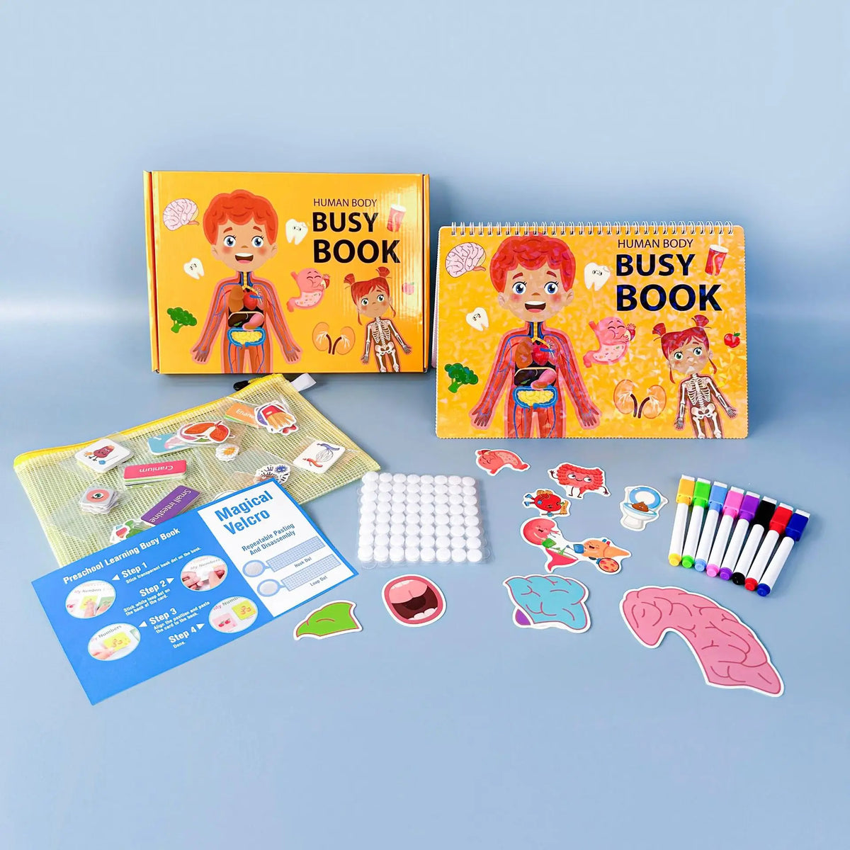 Human Body Quiet Book