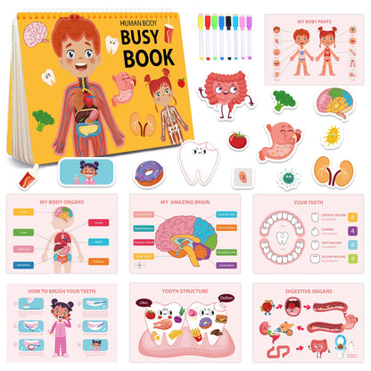 Human Body Quiet Book