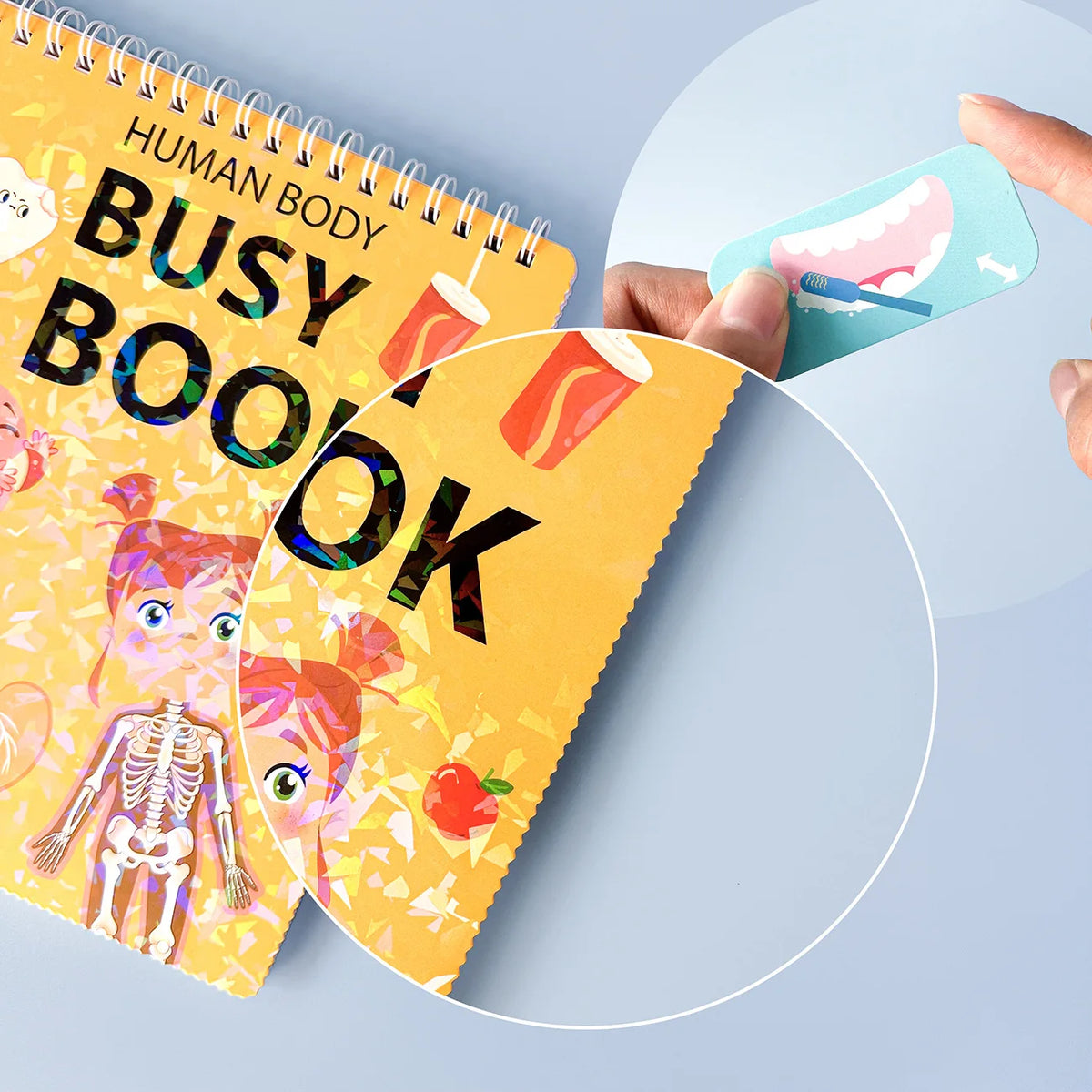 Human Body Quiet Book