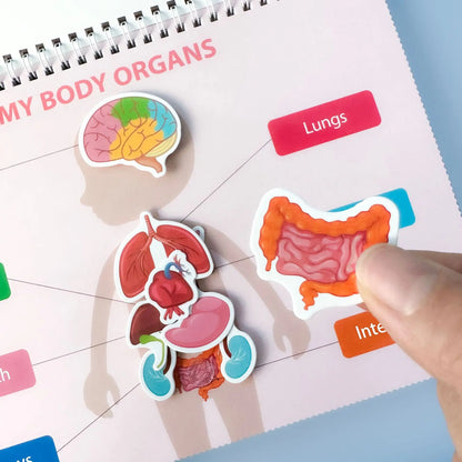 Human Body Quiet Book